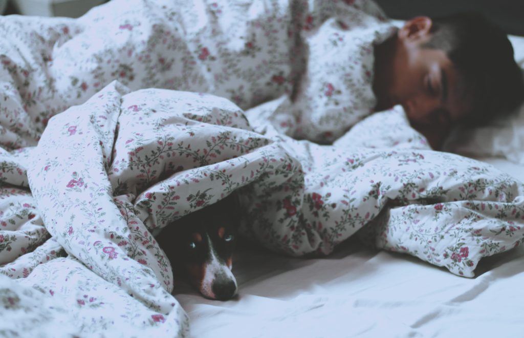ベッドで寝ている犬と男性