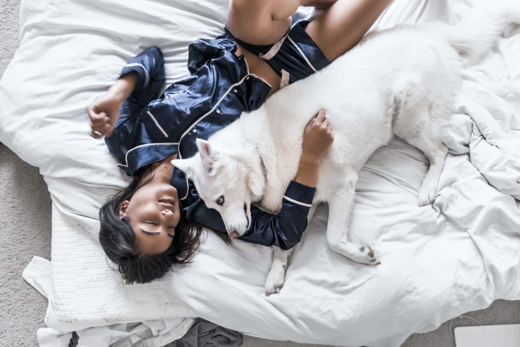 白い犬と寝ている女性