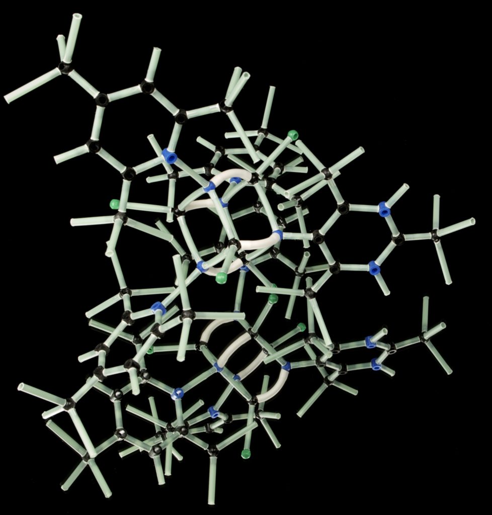 アミノ酸の分子構造