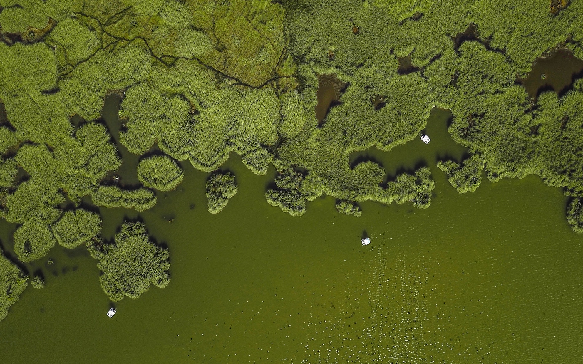 Subconscious Color Meanings and Psychological Effects SELF MIND