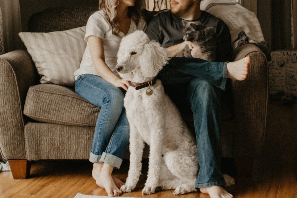 Couple sitting on a sofa beside a dog and cat.