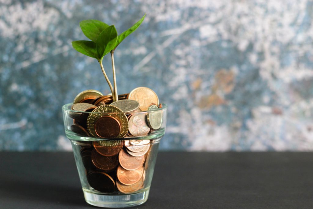 Coins in a cup with a budding plant.