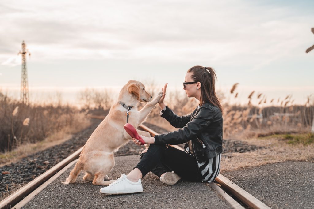 A woman high fives with her dog.